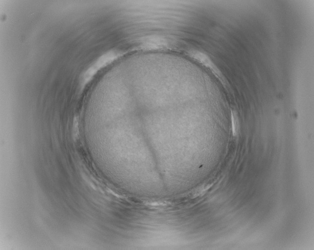 X0000069830579200606161942