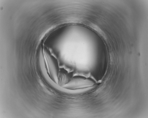 X0000069830580200606161942