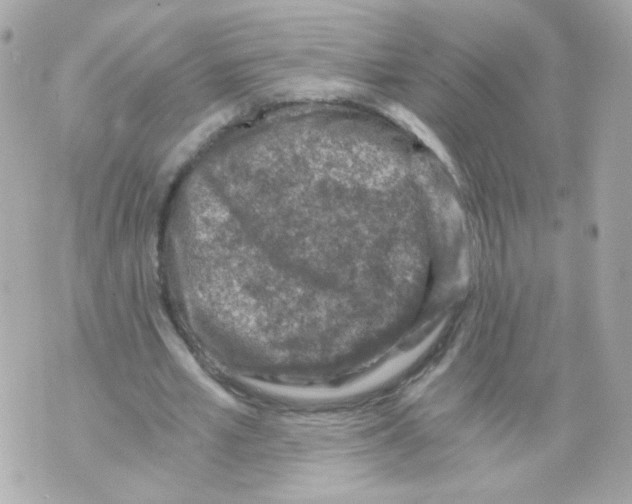 X0000069830581200606161942