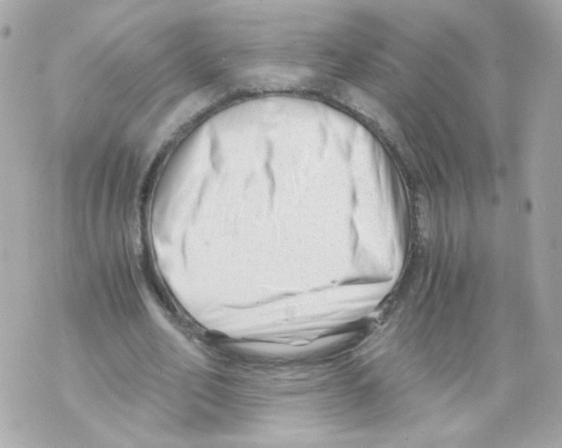 X0000069830582200606161942