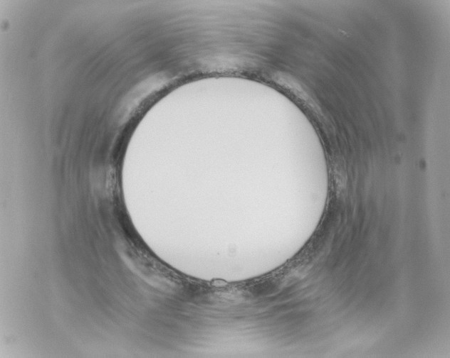 X0000069830583200606161942