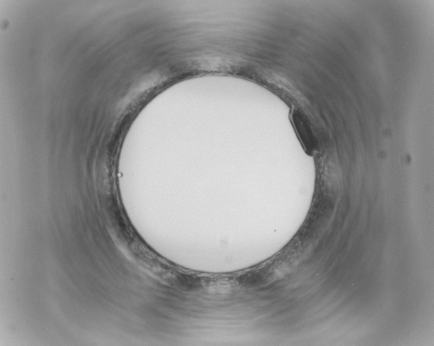 X0000069830587200606161942