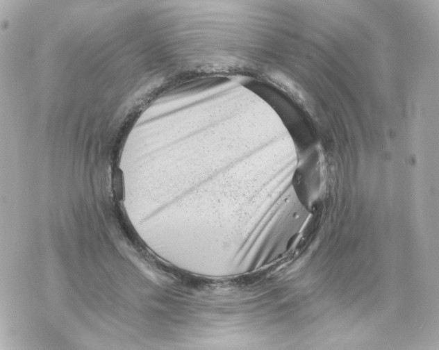 X0000069830589200606161942