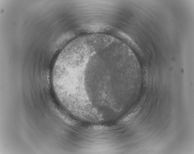 X0000069830590200606161942