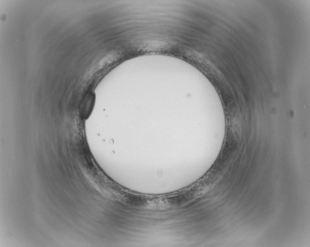 X0000069830591200606161942