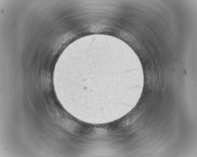 X0000069830592200606161942