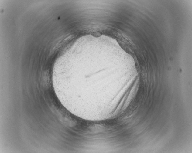 X0000069830594200606161942