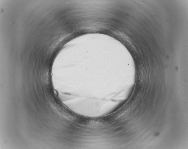 X0000069830596200606161942