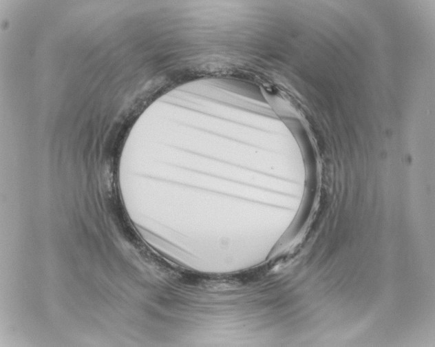 X0000069830597200606161942