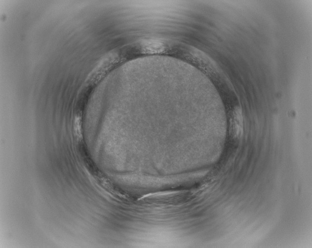 X0000069830598200606161942