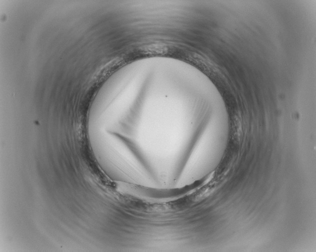 X0000069830600200606161942