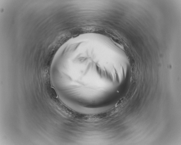 X0000069830601200606161942