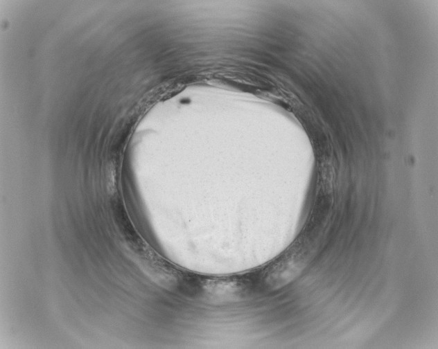 X0000069830602200606161942