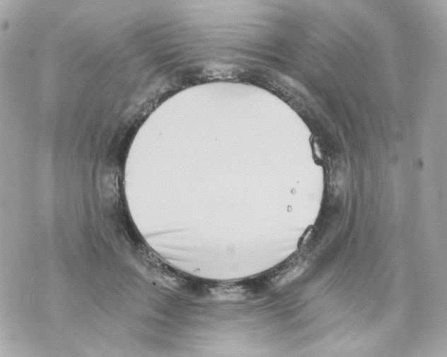 X0000069830603200606161942