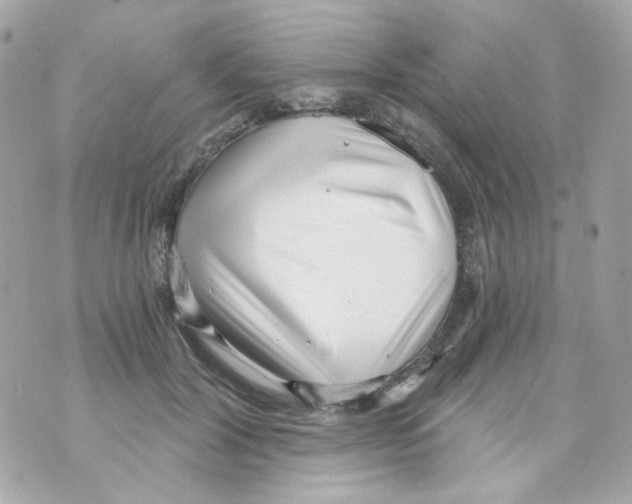 X0000069830604200606161942