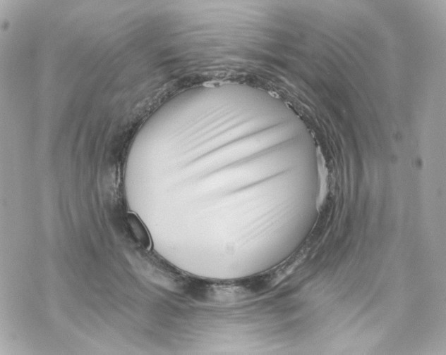 X0000069830605200606161942