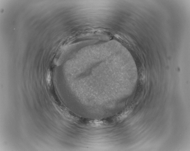 X0000069830607200606161942