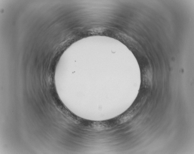 X0000069830608200606161942