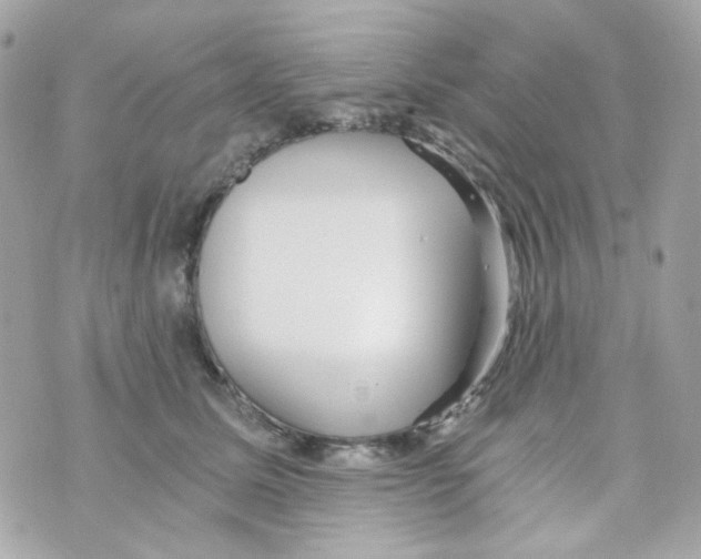 X0000069830611200606161942