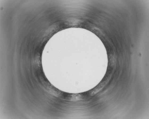 X0000069830612200606161942