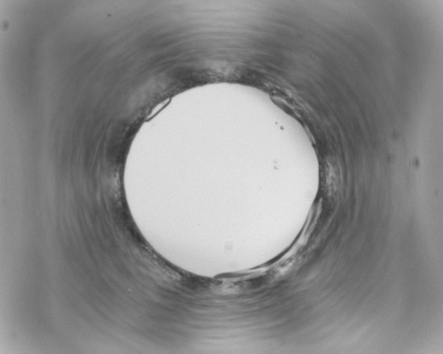 X0000069830613200606161942