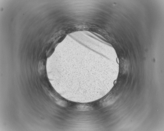 X0000069830614200606161942