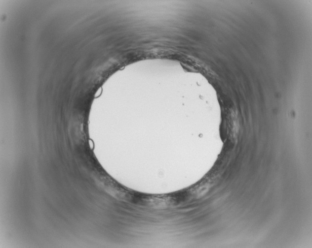 X0000069830615200606161942