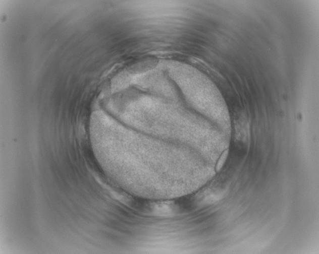 X0000069830618200606161942