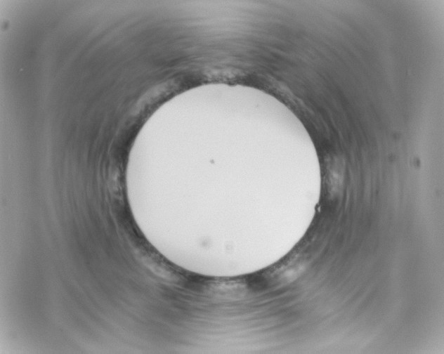 X0000069830619200606161942