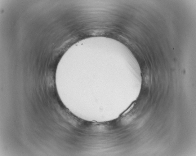 X0000069830620200606161942