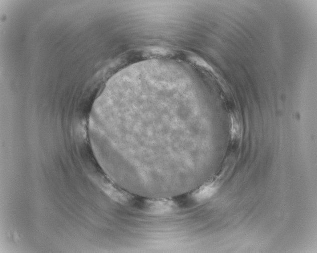 X0000069830621200606161942