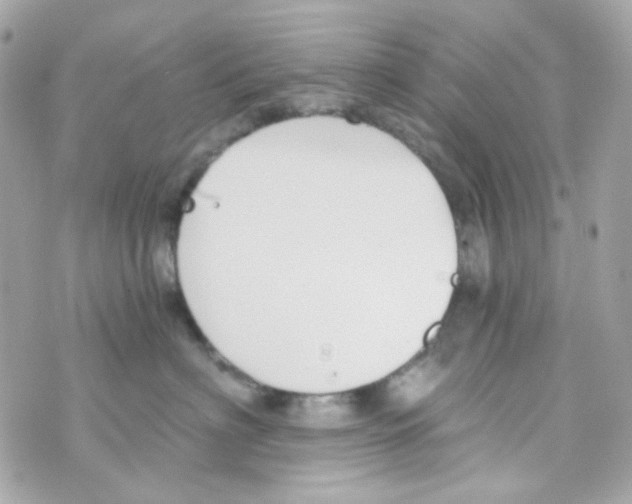 X0000069830622200606161942