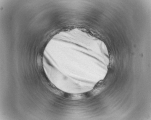 X0000069830623200606161942