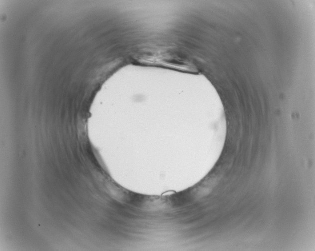 X0000069830624200606161942