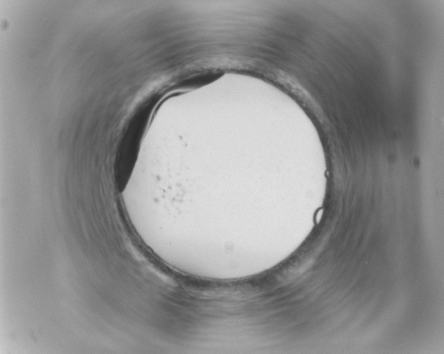 X0000069830625200606161941