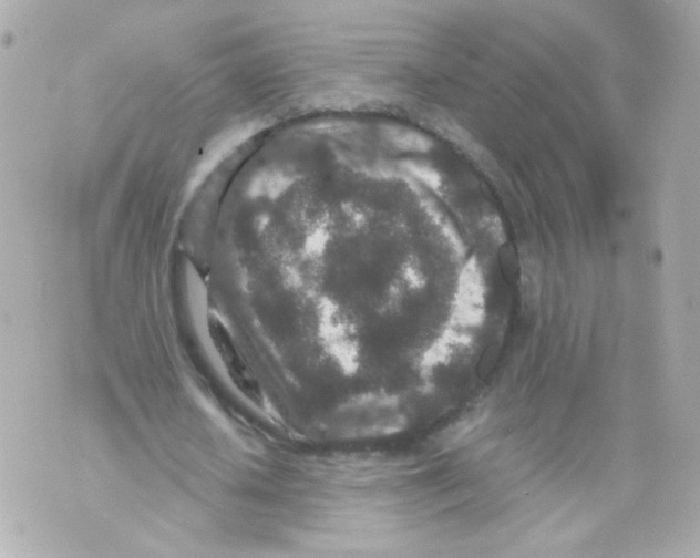 X0000069830626200606161941