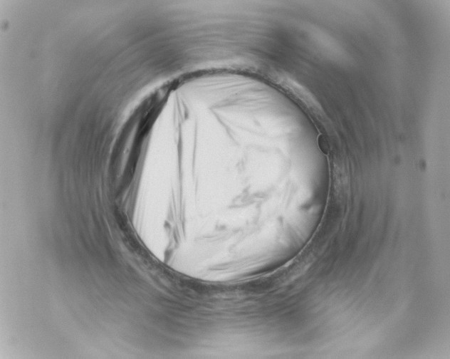 X0000069830628200606161941