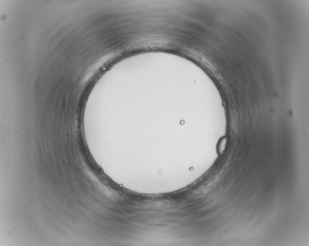 X0000069830629200606161941