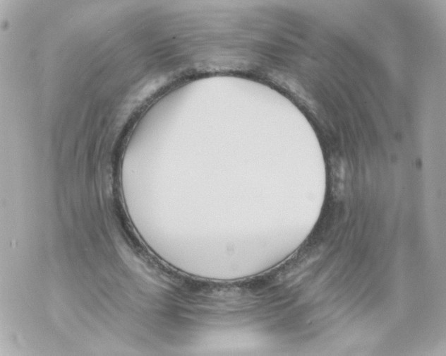 X0000069830631200606161941