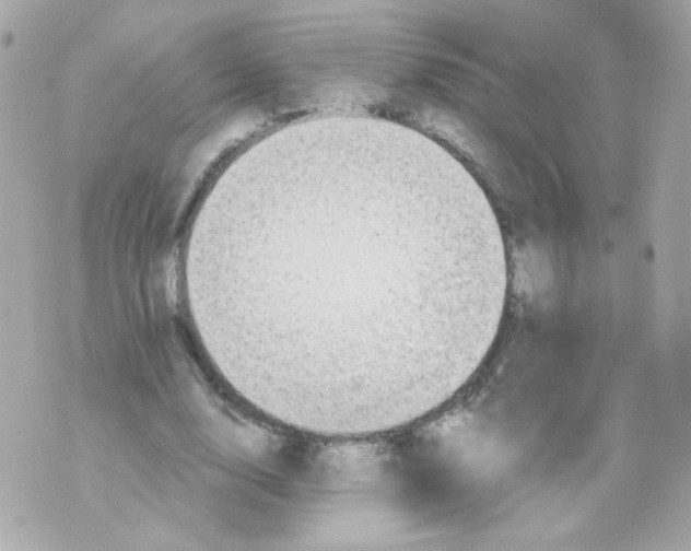 X0000069830632200606161941