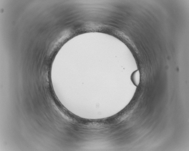 X0000069830633200606161941