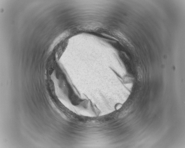 X0000069830634200606161941