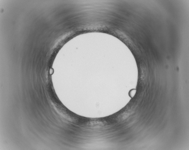 X0000069830636200606161941