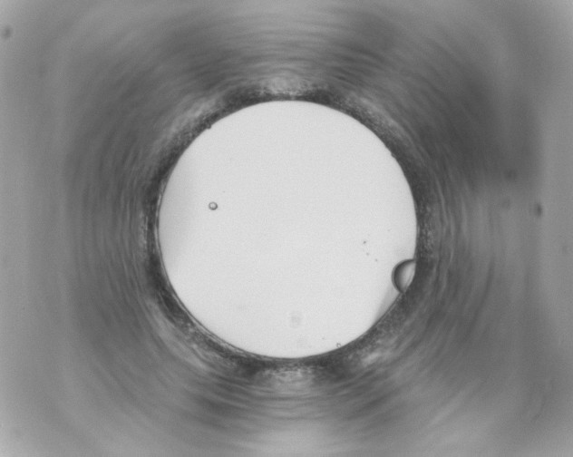 X0000069830639200606161941