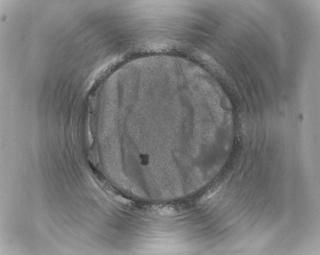 X0000069830640200606161941