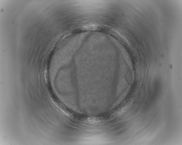 X0000069830641200606161941