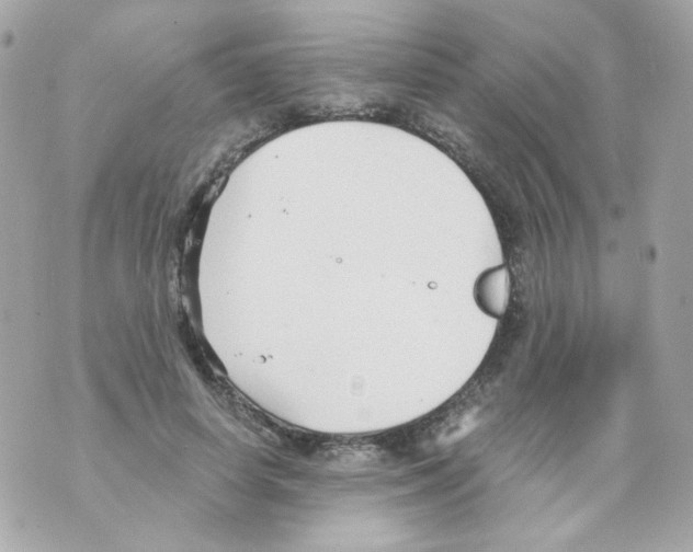 X0000069830642200606161941