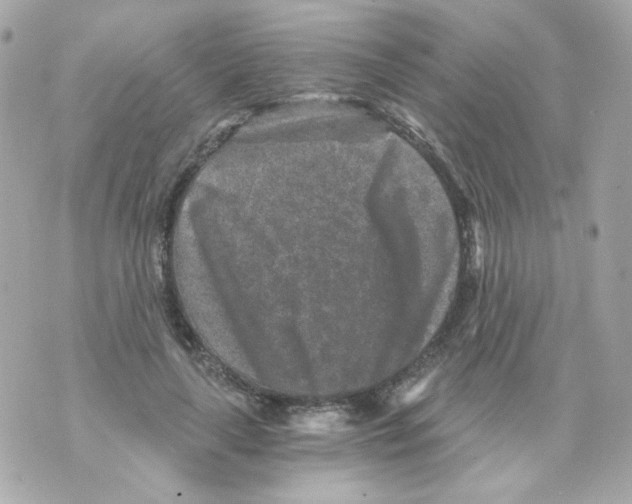 X0000069830643200606161941