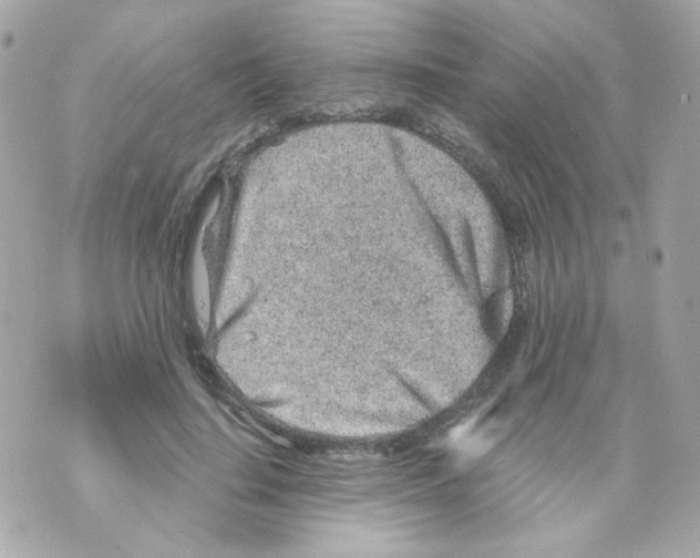 X0000069830644200606161941