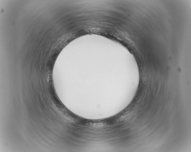 X0000069830645200606161941